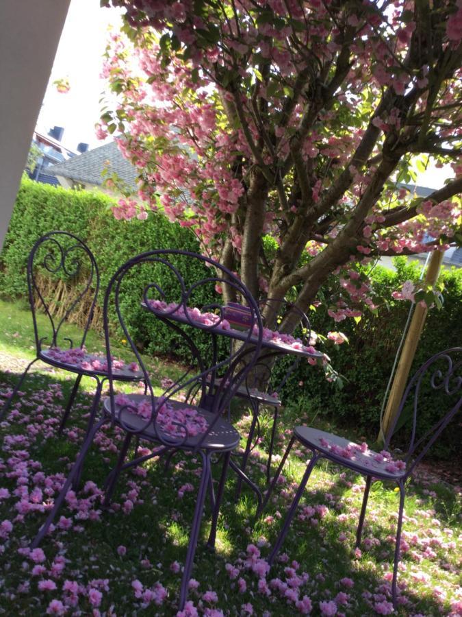 B&B Superieur Villa Vanille Намюр Екстериор снимка